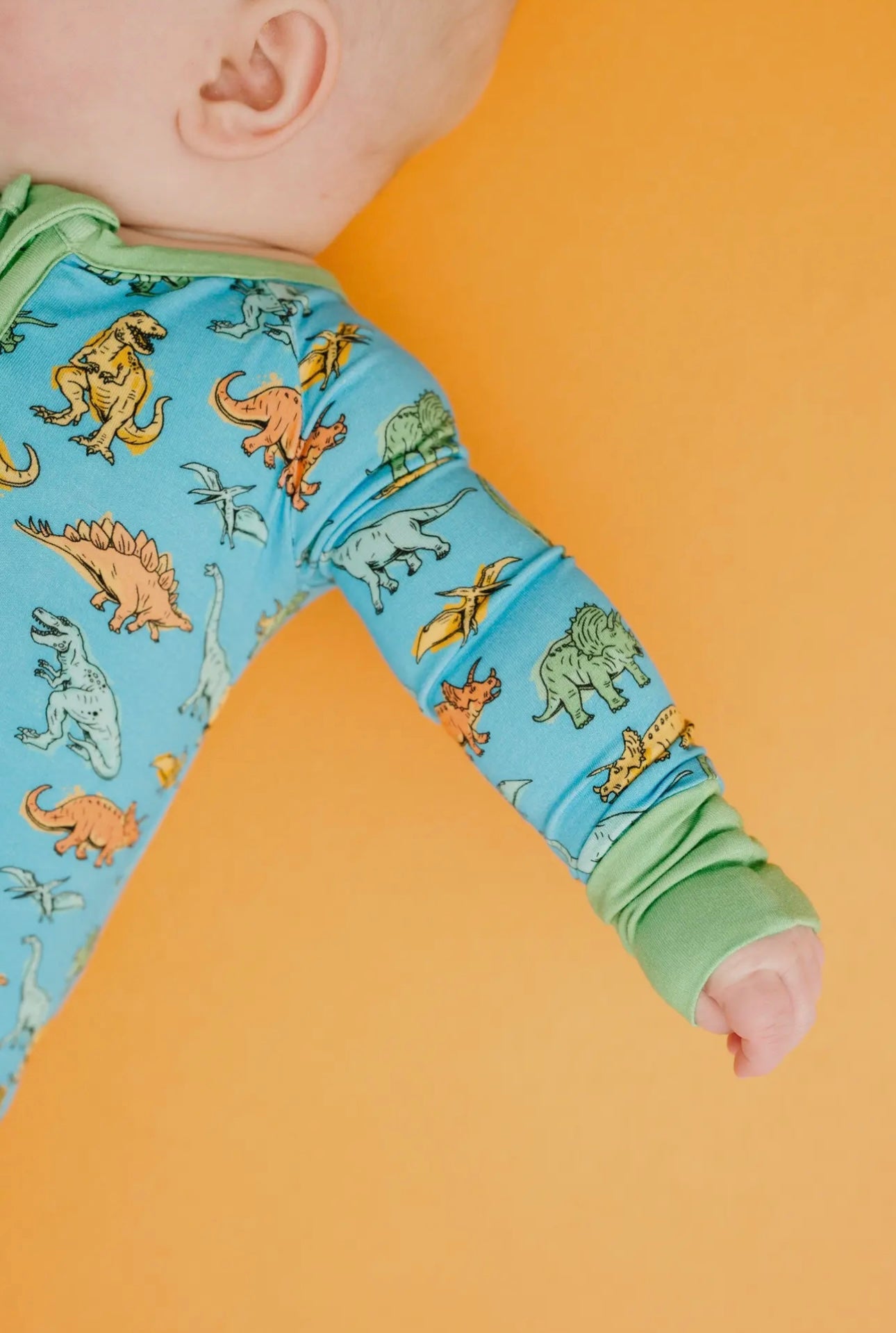 Dino Land Bamboo Sleeper