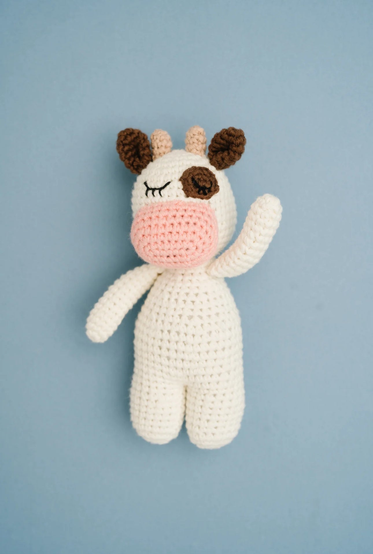 Crocheted Stuffies